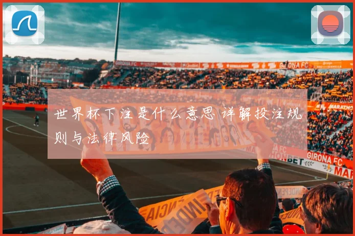 世界杯下注是什么意思 详解投注规则与法律风险