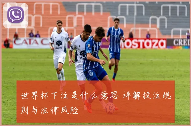 世界杯下注是什么意思 详解投注规则与法律风险