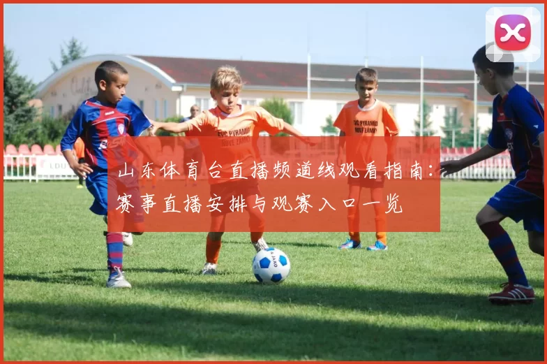 山东体育台直播频道线观看指南：赛事直播安排与观赛入口一览